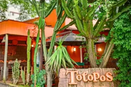 totopos restaurante mexicano em curitiba